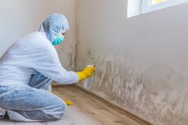 Why You Should Choose Our Mold Remediation Services in Roosevelt, NY