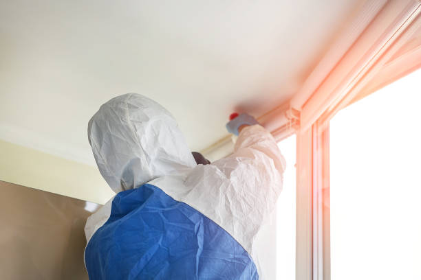 Roosevelt, NY Mold Removal Company